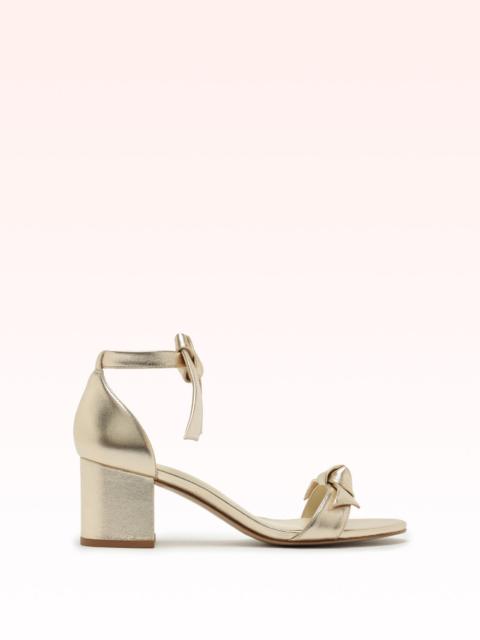 CLARITA BLOCK 60 GOLDEN