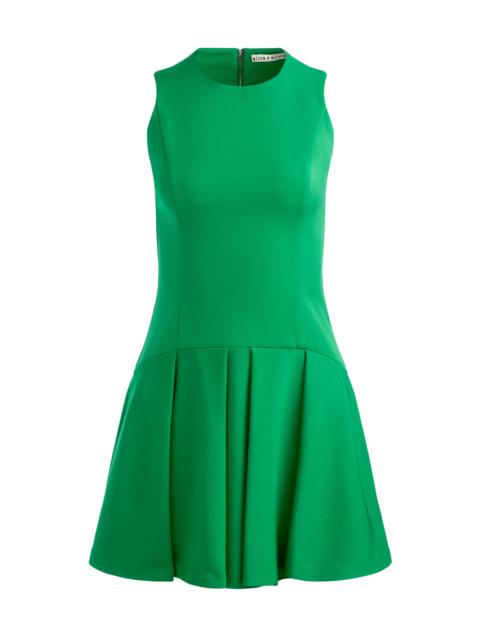 ADLEY DROP WAIST MINI DRESS