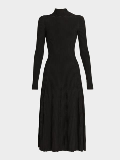 Tabitha Turtleneck Rib Long-Sleeve Maxi Dress