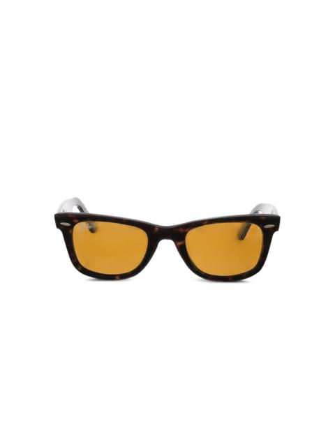 Wayfarer sunglasses