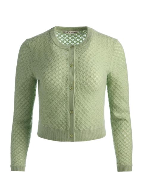 DOLLIE POINTELLE CASHMERE CARDIGAN