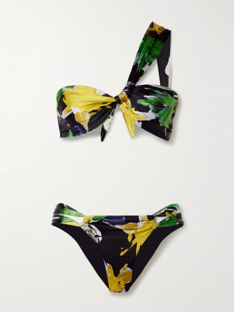Narcissus One-shoulder Printed Stretch-econyl Bikini
