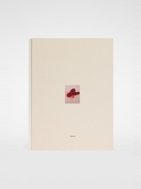 David Sims, Character