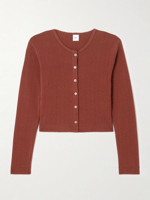 Scalloped pointelle-knit cotton cardigan Red