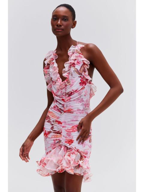 Floral Haze Stretch Tulle Sleeveless Mini Dress