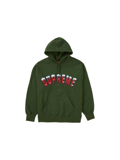 Supreme Icy Arc Hooded Sweatshirt Green