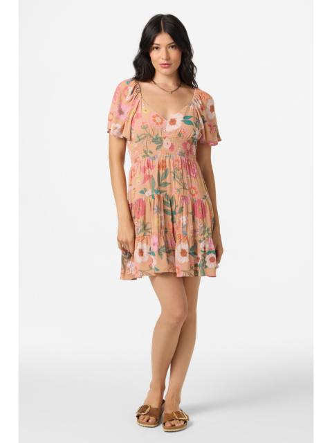 Layken Camella Mini Dress