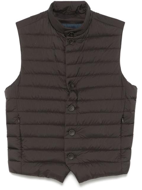 padded gilet