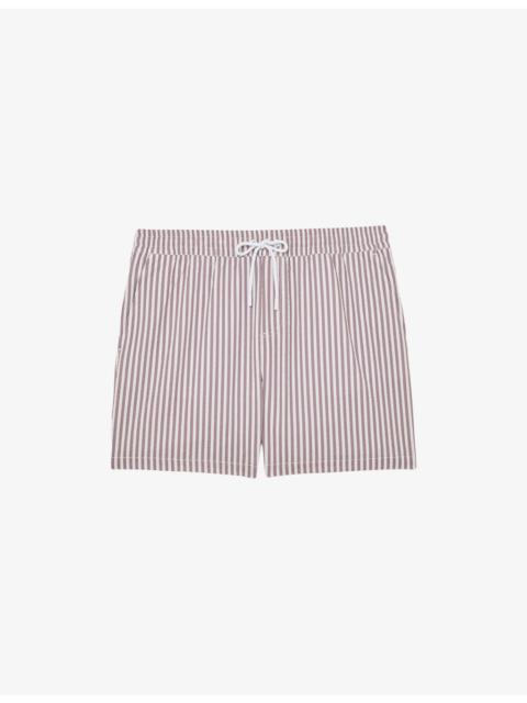 Bay Striped Swim Shorts