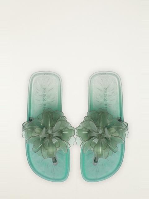 Green Flower Jelly Flat Sandal