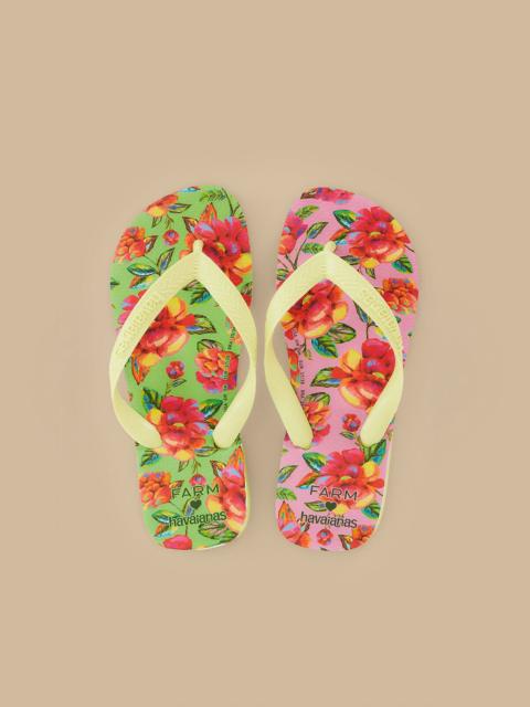 Neon Flowers Havaianas
