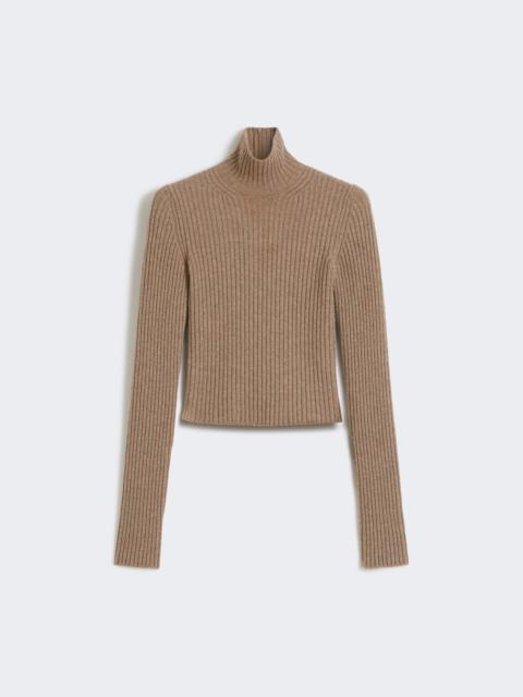 ARAL1234 Wool and cashmere ribbed turtleneck