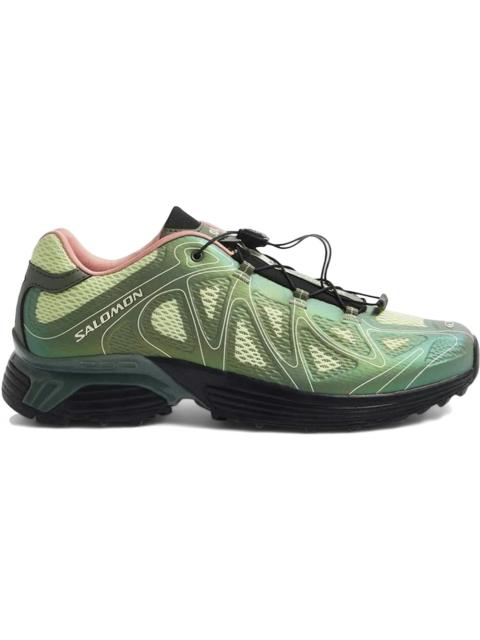 Salomon XT-Whisper Void END. Avocado