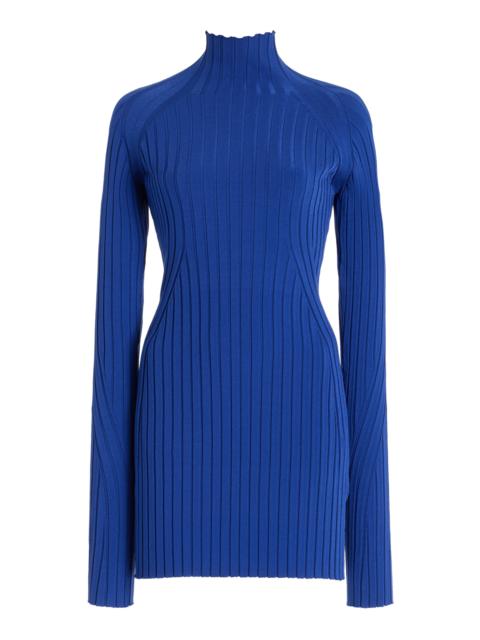 Kat Ribbed-Knit Turtleneck Top blue