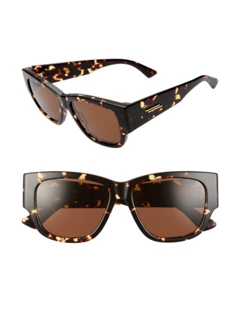 Bottega Veneta 55mm Cateye Sunglasses in Havana/brown