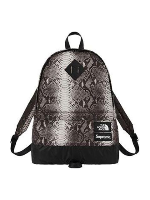 Supreme x The North Face Snakeskin Lightweight Day Backpack 'Grey White' SUP-SS18-388