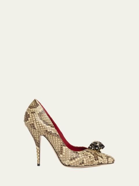 Pas de Chat Python Pumps