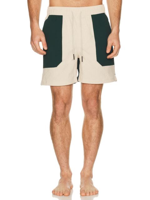 Rex Swim Shorts