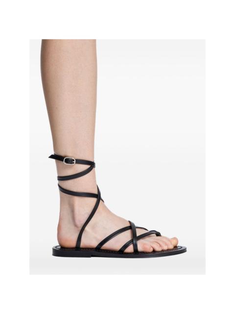 strappy zenobie sandals