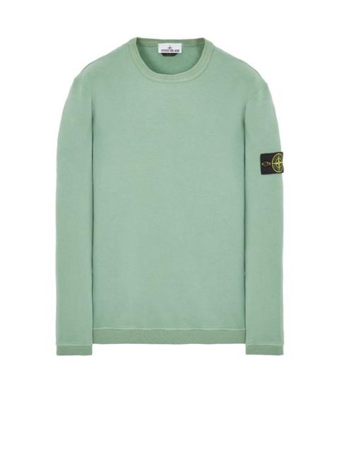 61351 SAGE GREEN