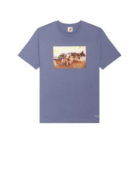 Pigs Farm Tee