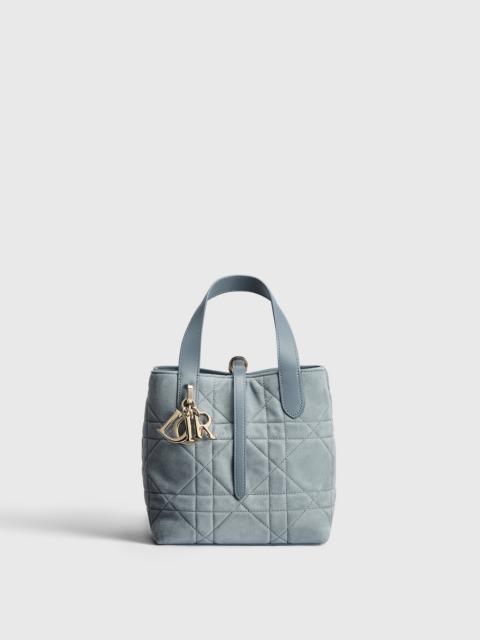 Small Dior Toujours Vertical Tote Bag