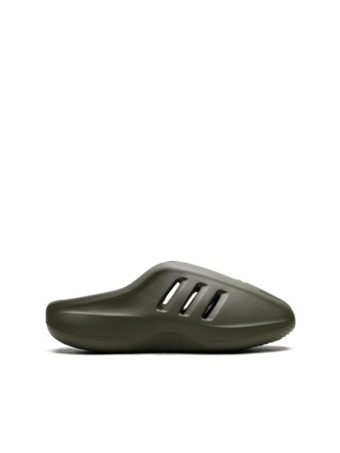 adiFOM IIInfinity mules