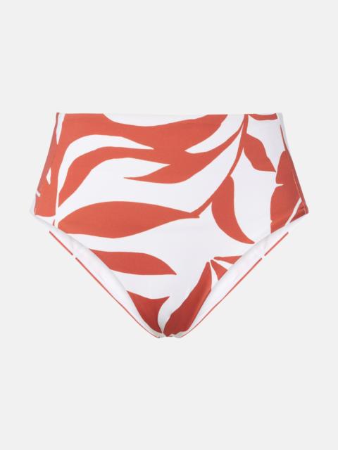 Stilla printed bikini bottoms