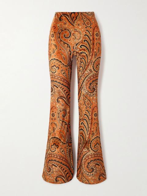 Paisley-print stretch-velvet flared pants Brown