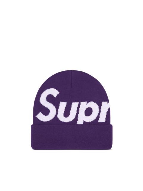 Big Logo beanie hat