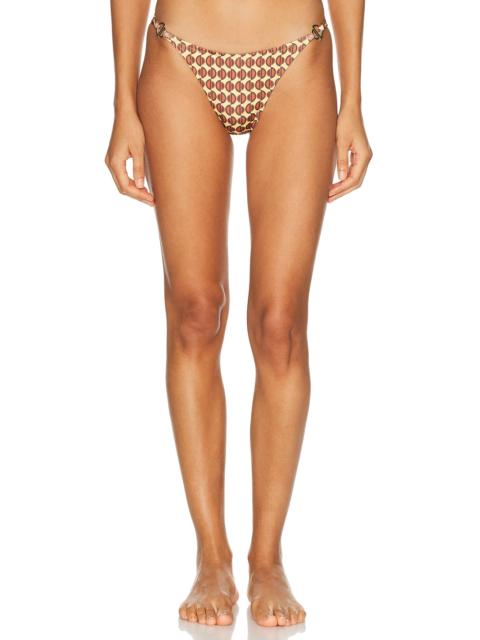 Terra Bikini Bottom