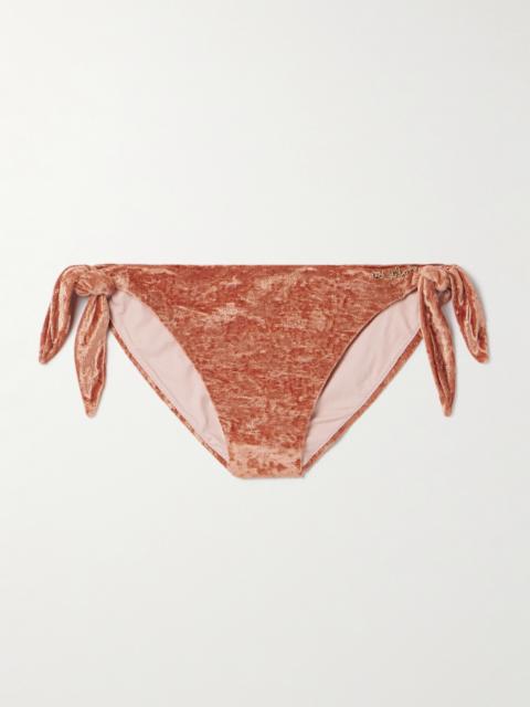 Embellished Velvet Bikini Briefs