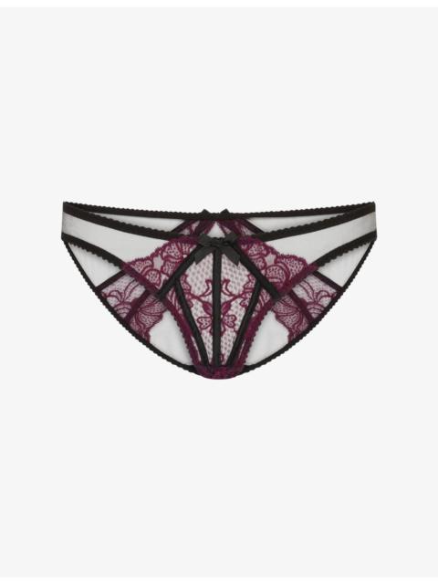 Rozlyn Bikini Mesh and Lace Briefs