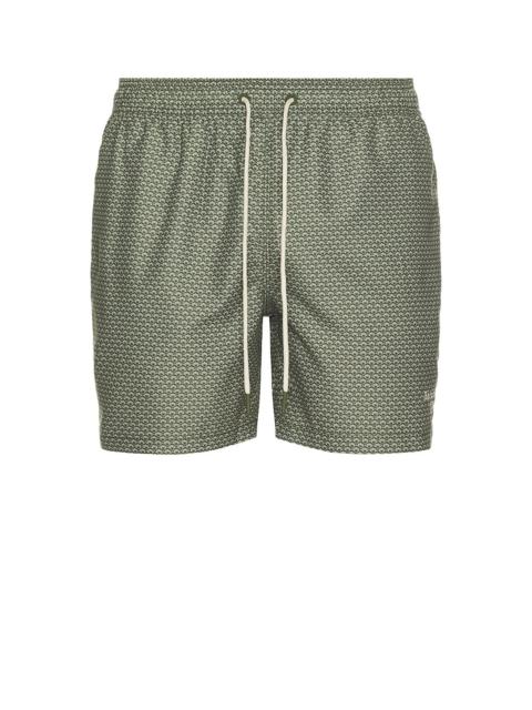 Shell Swim Short
