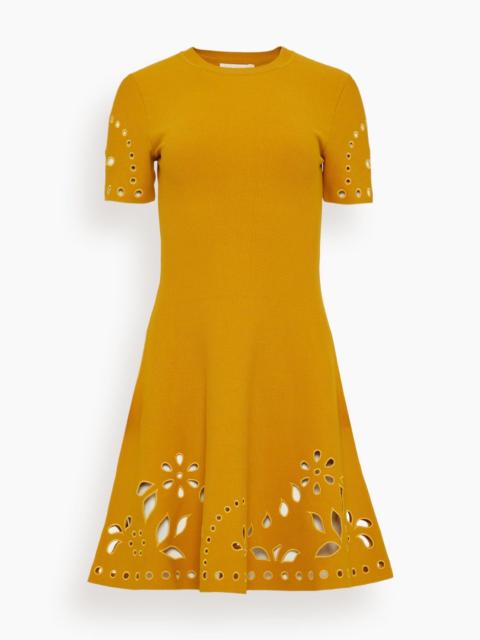 Fania Short Sleeve Knit Mini Dress in Goldenrod
