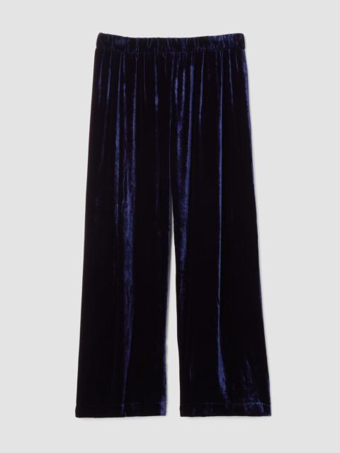 Velvet Pleated Straight Pant