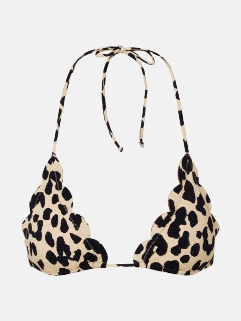 Broadway leopard-print bikini top