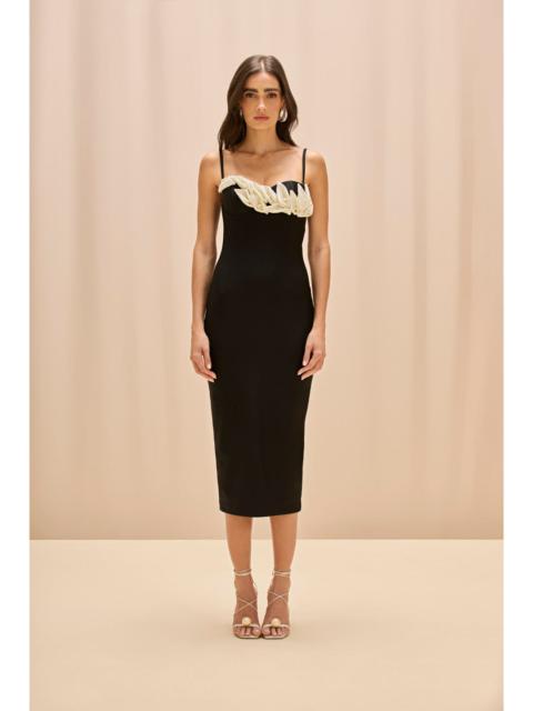 Selene Mesh Flower Applique Midi Dress