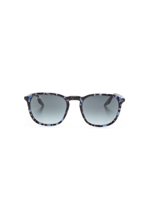 RB2203 sunglasses