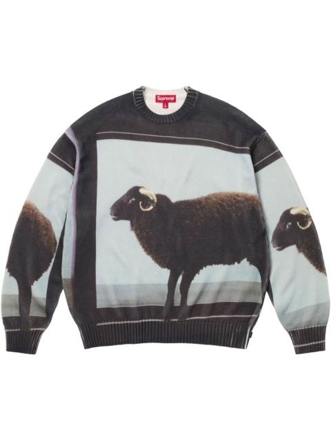 x Damien Hirst intarsia-knit sweater