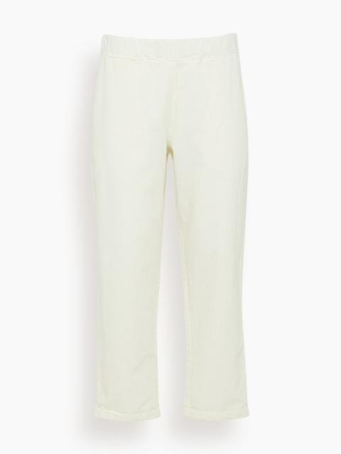 Panta Vela Prato in Gala