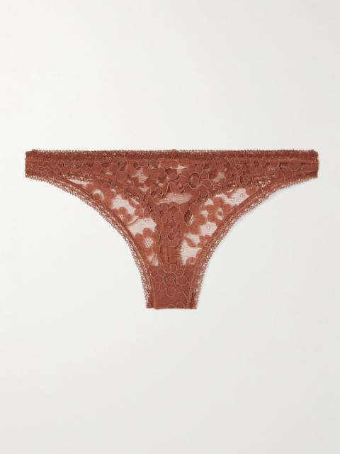 Marguerite Prairie Stretch-corded Lace Briefs