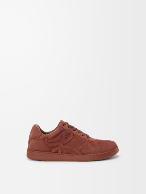 Jambo sneaker in suede calfskin