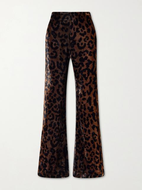 Farah Leopard-print Velvet Flared Pants