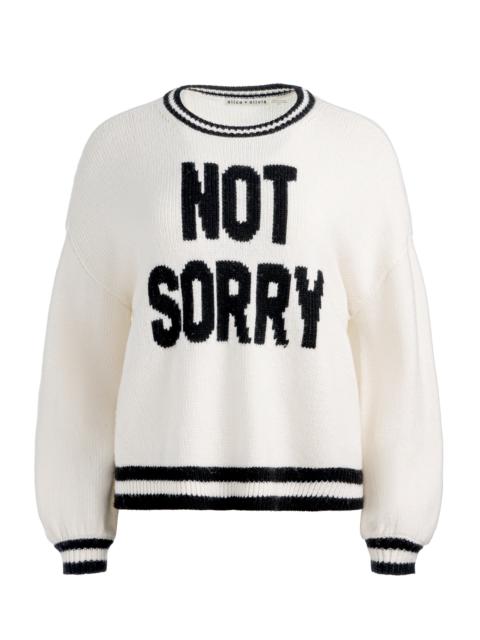 OGDEN NOT SORRY PULLOVER