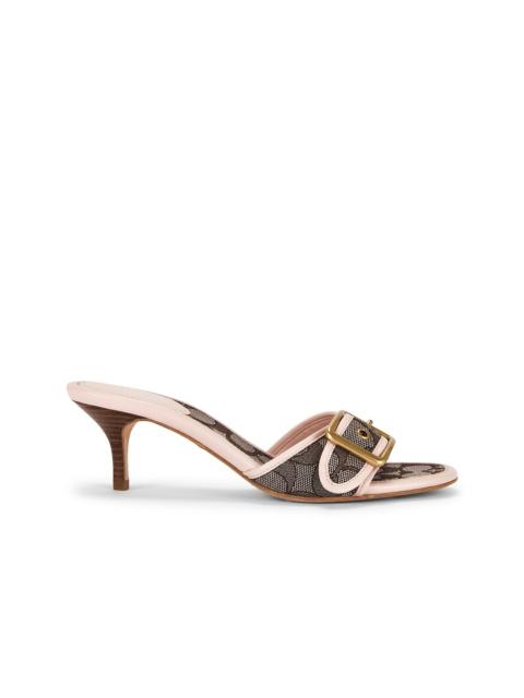 Margot Sandal