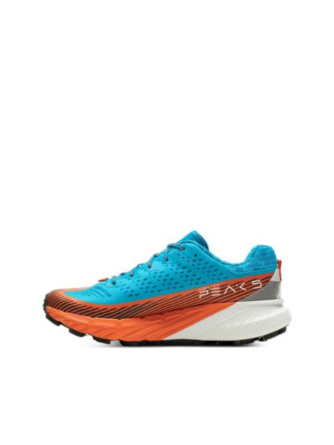 agility peak trainers