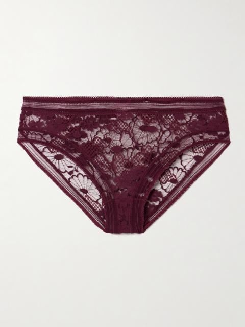 Miellée Leavers Lace Briefs