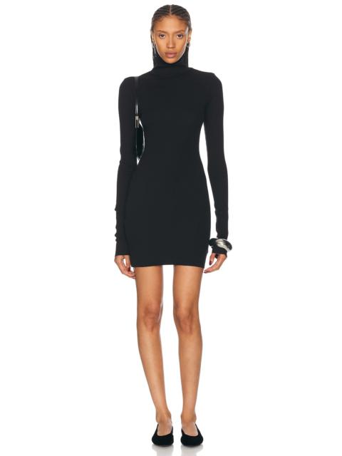 Long Sleeve Turtleneck Mini Dress