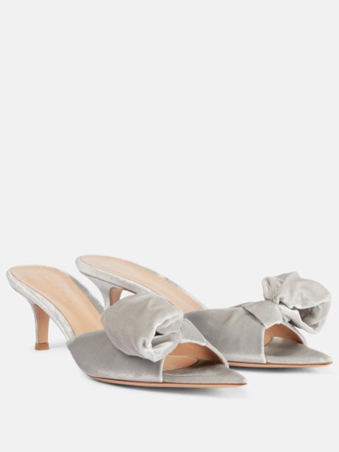 55 bow-detail velvet mules